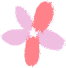 Pink flower